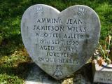 image of grave number 334520